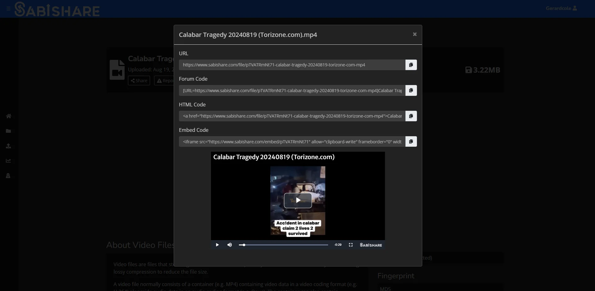 Sabishare Video Player.jpg